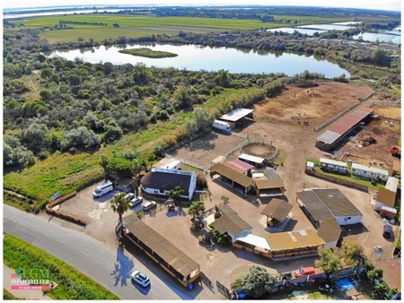 en exclusivité à vendre : ranch - le grau du roi - terrain et infrastructure