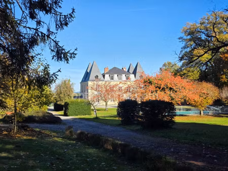 gros potentiel pour cette tres belle propriete de 19ha avec chateau et batiment de + de 12