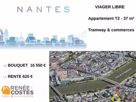 viager libre - h71 ans - nantes (44200)