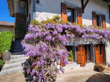 maison de prestige de 90 m2 en vente sciez  auvergne-rhône-alpes