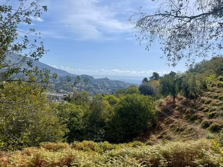 terrain de 8551 m2 en vente - sainte-agnès  france