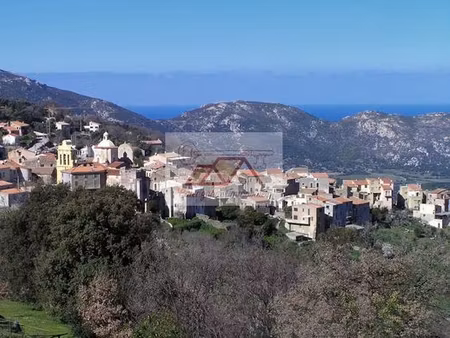 terrain de 4700 m2 en vente - cateri  corse