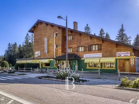 hôtel de 19 chambres luxe en vente gex  auvergne-rhône-alpes