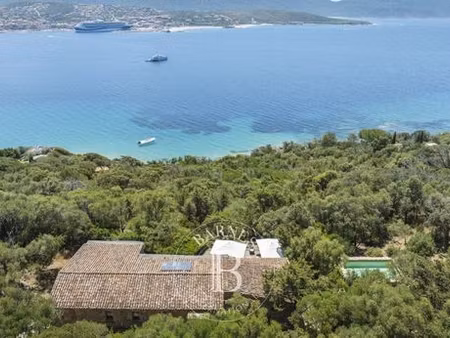 villa de luxe en location olmeto  corse