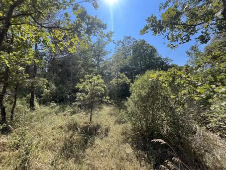 a vendre terrain constructible au calme 1762 m2 83470 saint