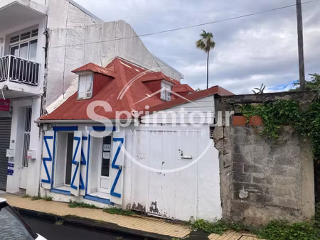 basse-terre local professionnel centre-ville