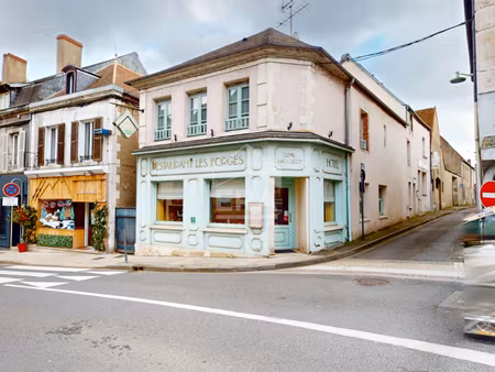 immeuble de rapport 16 pièces 450 m² à vendre / acheter cosne-cours-sur-loire 58200 ? | er