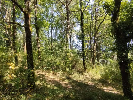 terrain 0 pièces 1954 m² à vendre / acheter sainte-colombe-en-bruilhois 47310 ? | era immo
