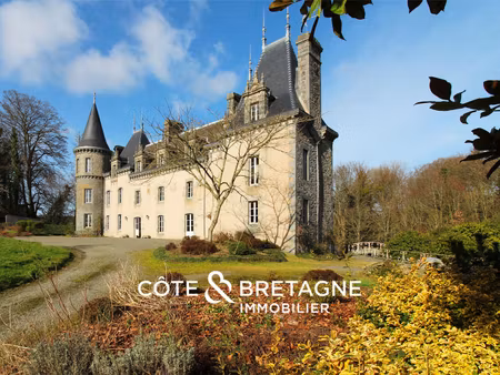 vente château 21 pièces