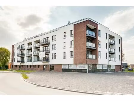 surface commerciale neuve