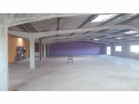 location locaux professionnels 495 m² à baillargues (34670)  3 757 €