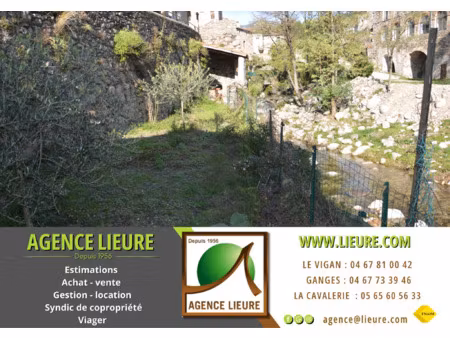 maison de village a vendre avec jardin