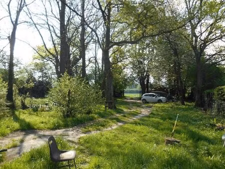 vente maison 3 pièces 71 m² bonningues-lès-ardres (62890)