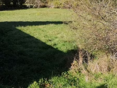 terrain de 3517m2. chezal benoit en berry 18 vente