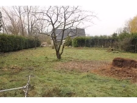 vente terrain 597 m² coulogne (62137)