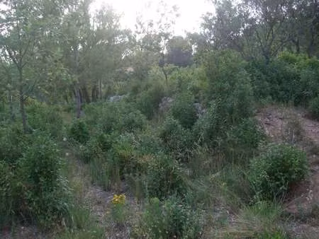 vente terrain 1214 m² cuers (83390)