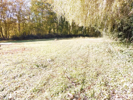 rare au centre de bavilliers