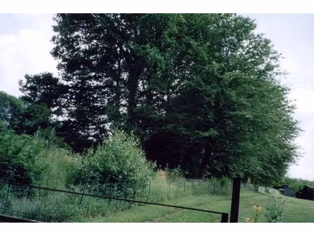 vente terrain 2005 m² à crepy-en-valois (60800)  21 000 €