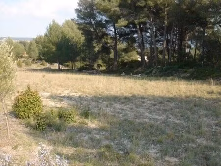vente terrain 3499 m² le beausset (83330)