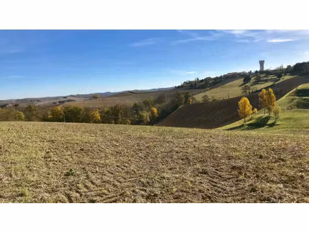 les chemins du moulin lot numéro 31