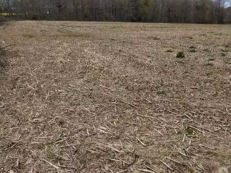 vente terrain à plumieux (22210) : à vendre / plumieux