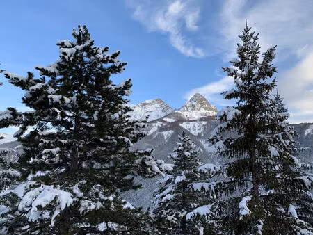 vente terrain 448m2 pra-loup 04400 - 136500 € - surface privée