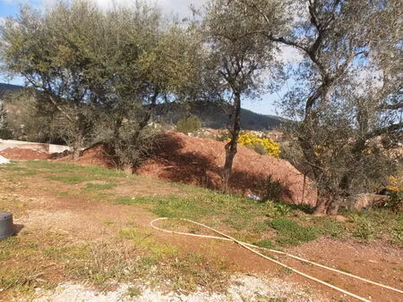 vente terrain 460 m² solliès-pont (83210)