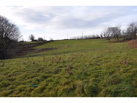 grand terrain en partie constructible