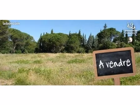 terrain 1125 m² nielles les blequin