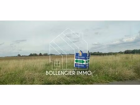 vente terrain 600 m² ochtezeele (59670)