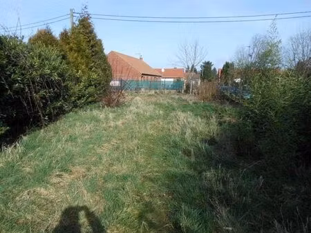 vente terrain 419 m² somain (59490)