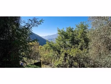 vente terrain 1010 m² la bollène-vésubie (06450)