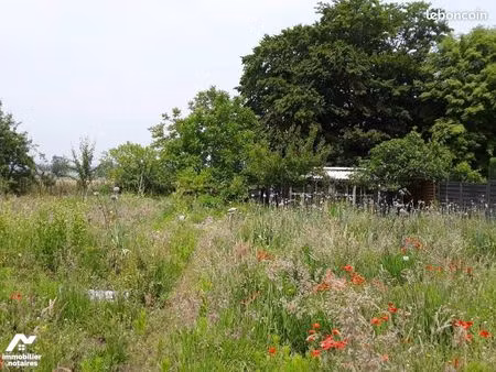 terrain 743 m² cuts