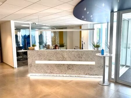 location coworking st didier au mont d'or 1 171 m²