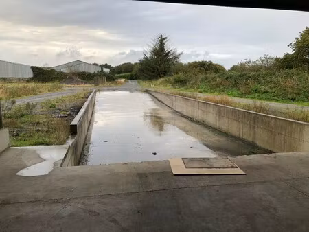 location local commercial