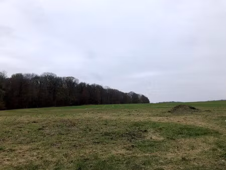 terrain de 7 ares au calme