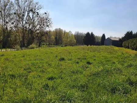 vente terrain à mauron (56430) : à vendre / 1000m² mauron