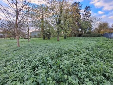 vente terrain à mauron (56430) : à vendre / 1248m² mauron