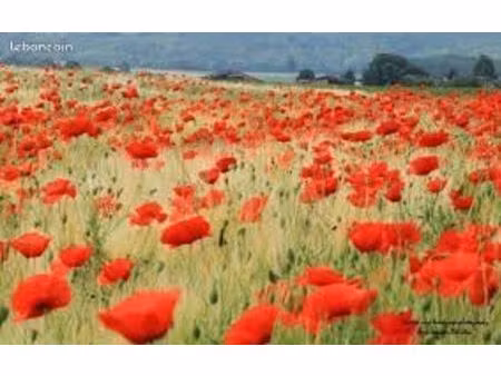 terrain 800 m² le lude