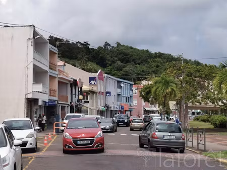 location locaux professionnels 1 pièce 69 m² à la trinite (97220)  2 005 €