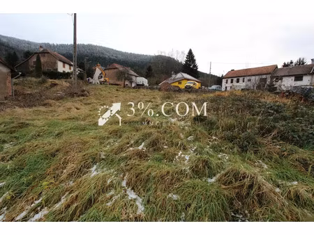 vente terrain à allarmont (88110)  23 000 €