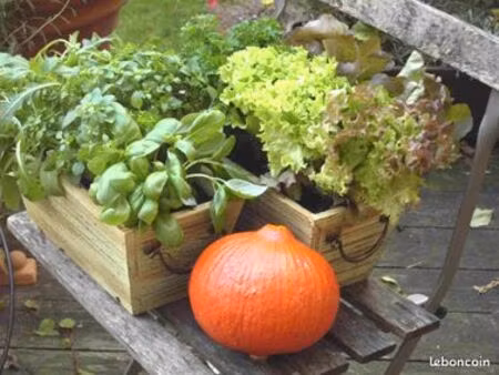 parcelle de jardin à louer clermont-fd