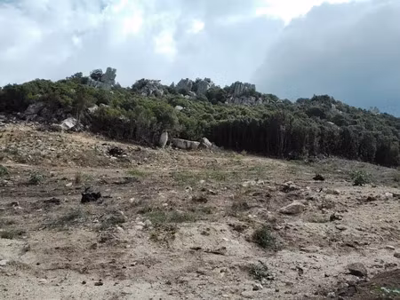 vente terrain 2398 m² à foce (20100)  127 094 €