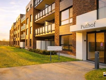 appartement à louer à borgloon € 1.091 (k0a0b) - het immohuis | zimmo