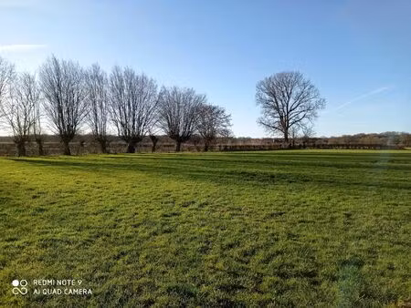 vente terrain 22195 m² ors (59360)