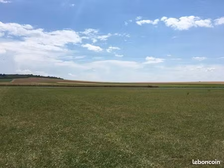 terrain 3611 m² broussy-le-grand