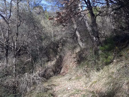 vente terrain 2800 m² l’escarène (06440)