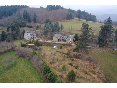 domaine de château avec gîtes  chambres et camping - aux no