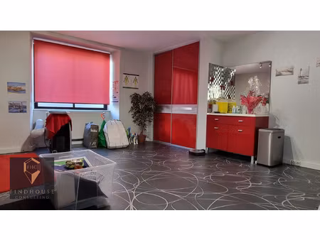 maison de ville - t6 240 m2 - ideal famille  investisseur