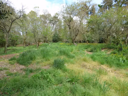 terrain loyat 2130 m2